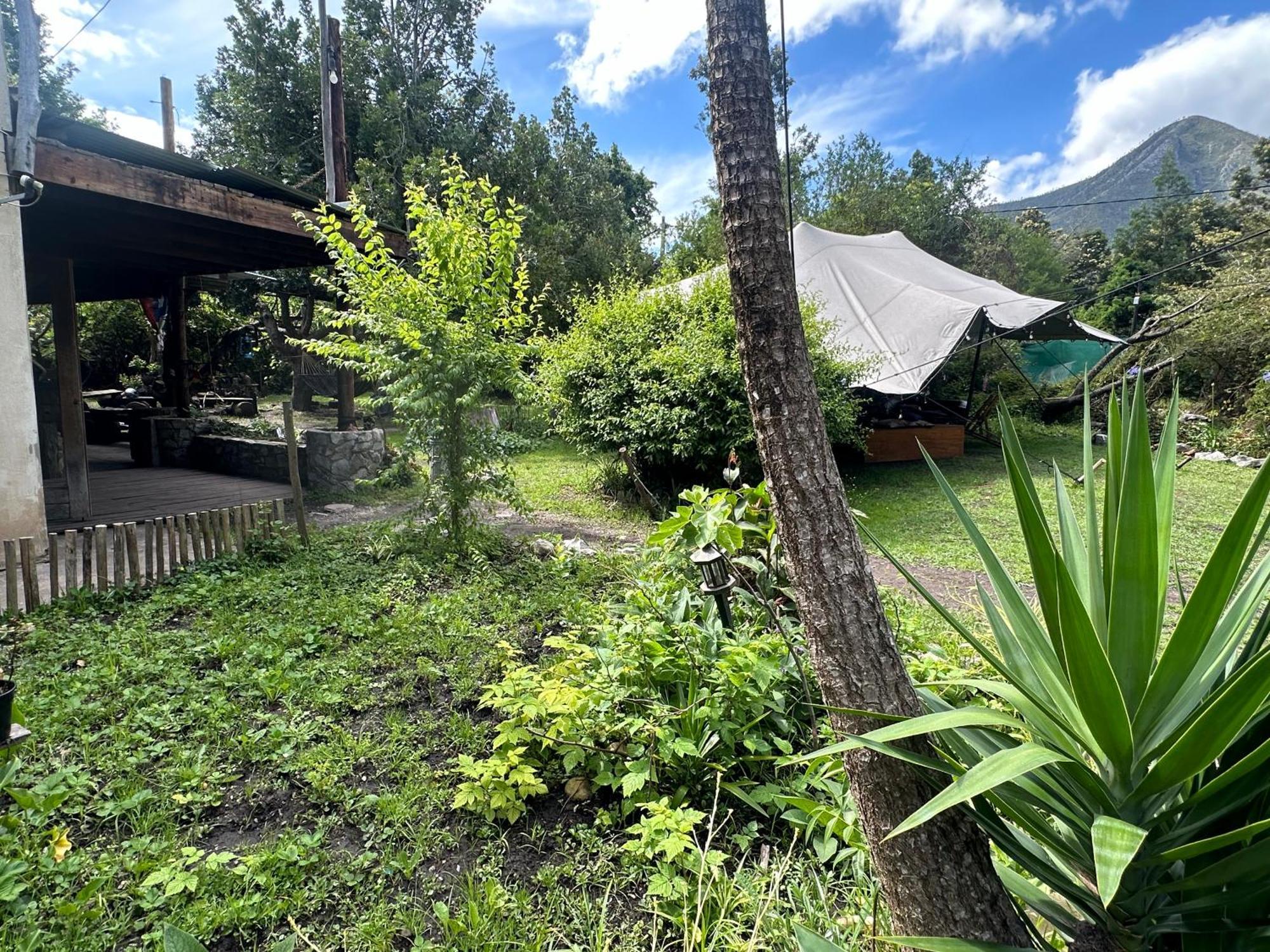 Stormsriver Backpackers Dijembe Stormsrivier Exterior foto